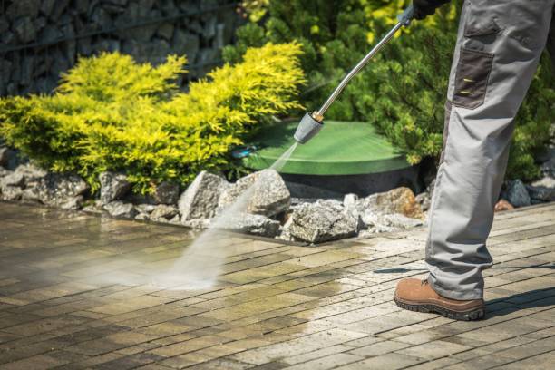Best Sidewalk and Walkway Cleaning  in Wolfforth, TX